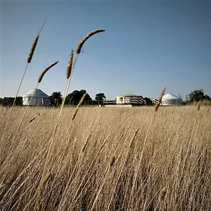 3* Luxury tent Meadow Vale Retreats